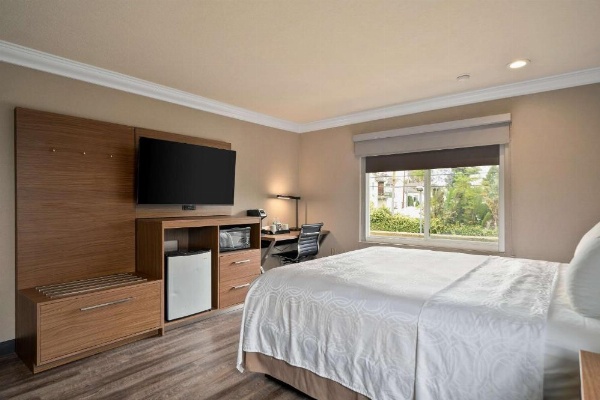 Best Western Plus Newport Mesa Inn image 13