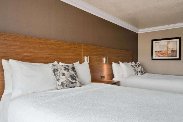 Best Western Plus Newport Mesa Inn image 15