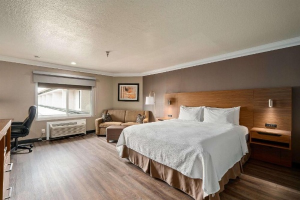 Best Western Plus Newport Mesa Inn image 8